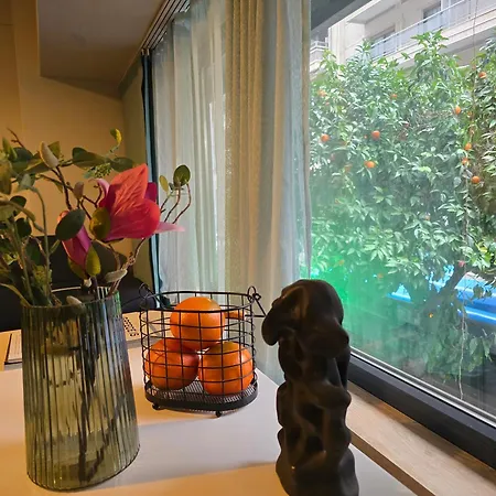Apartment Orange Downtown